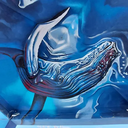 Appartement Casa Stella Marina